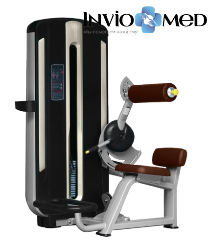 BRONZE GYM MNM-009 Разгибание спины фото