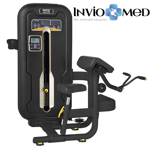 BRONZE GYM MZM-006 Бицепс-машина фото BRONZE GYM MZM-006 Бицепс-машина фото