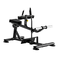 Голень сидя BRONZE GYM RAVE RV27 фото