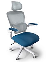 ErgoKids Детское кресло Ergokids Teen Blue c подлокотниками (арт. T-1 ARM/BL) фото