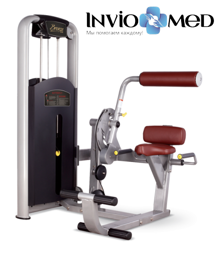 BRONZE GYM MV-009 Разгибание спины фото